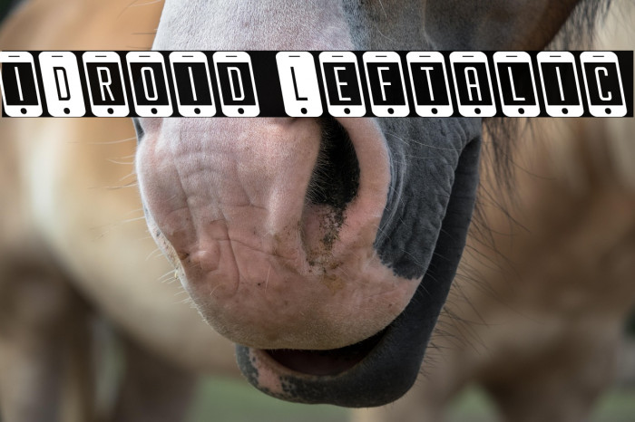 iDroid Leftalic Example 3