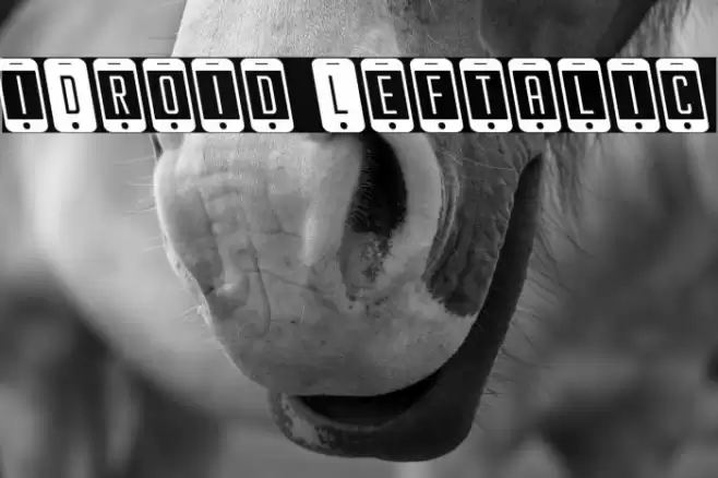 iDroid Leftalic Font examples