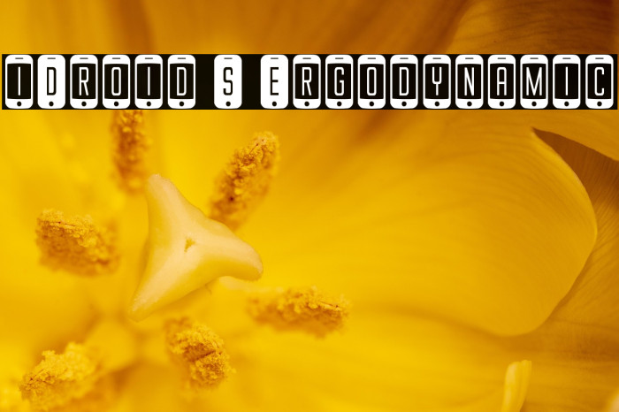 iDroid S Ergodynamic Example 3