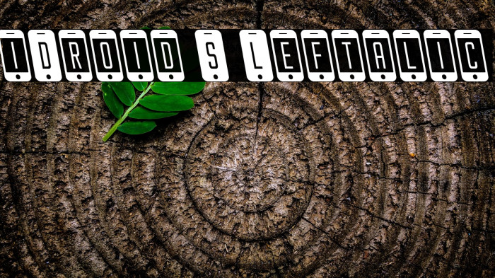 iDroid S Leftalic Example 3