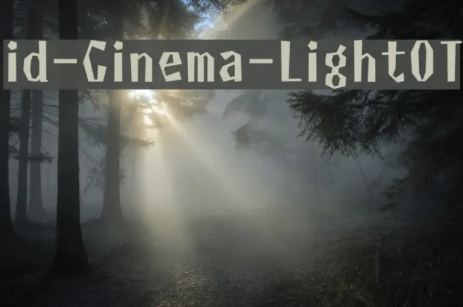 id-Cinema-LightOT Example 3