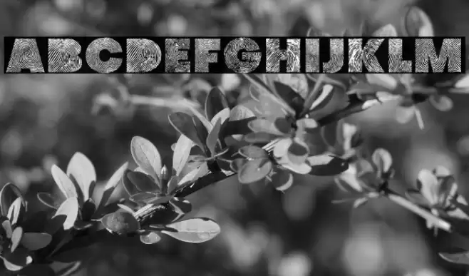 identify demo Regular Fuentes examples