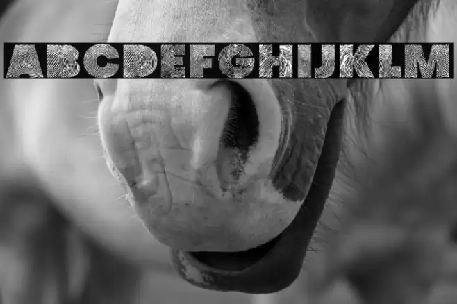 identify demo Regular Fuentes examples