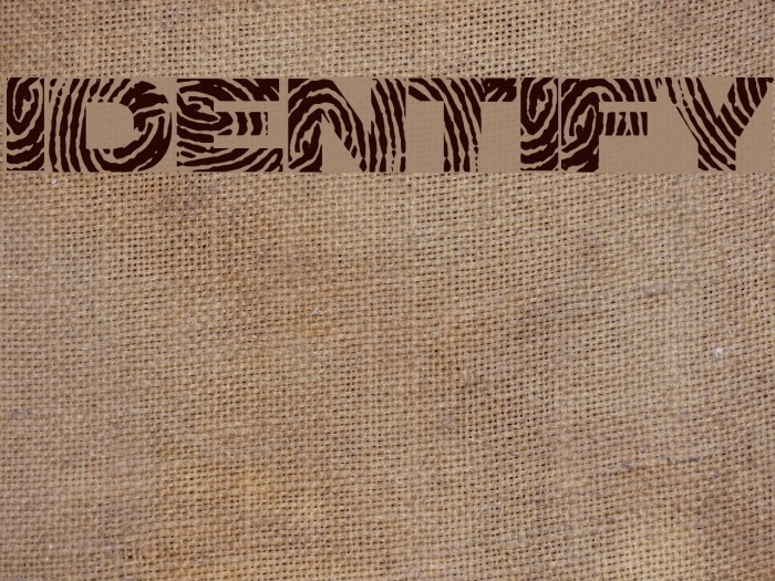 identify Font examples