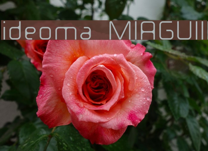 ideoma MIAGUIII Font examples