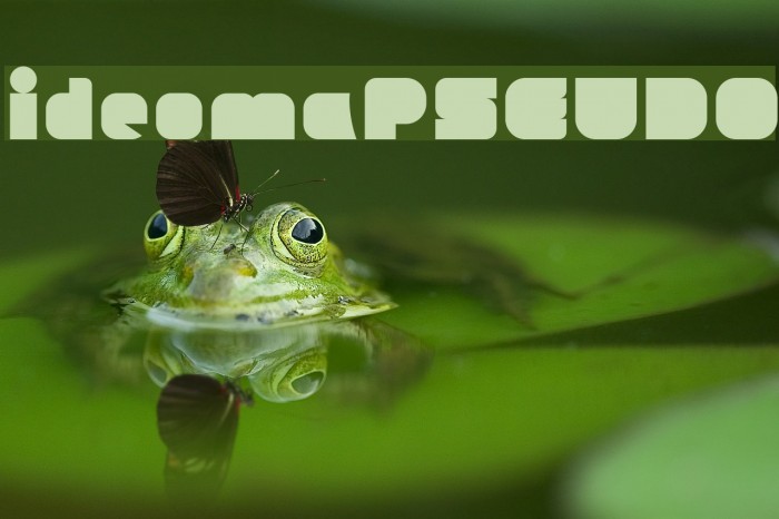 ideomaPSEUDO Font examples
