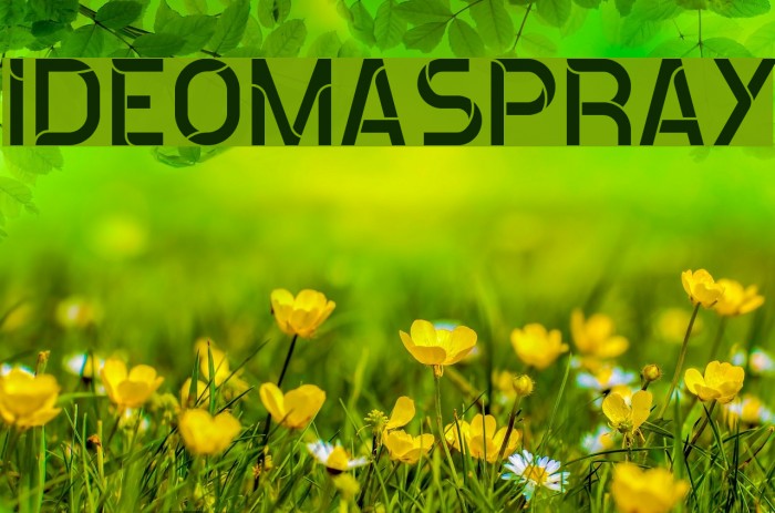 ideomaSPRAY Font examples