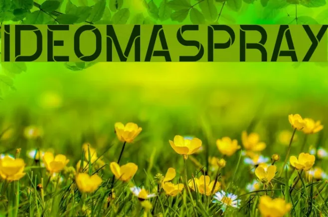 ideomaSPRAY Example 2