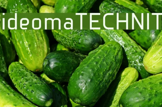 ideomaTECHNIT Example 2