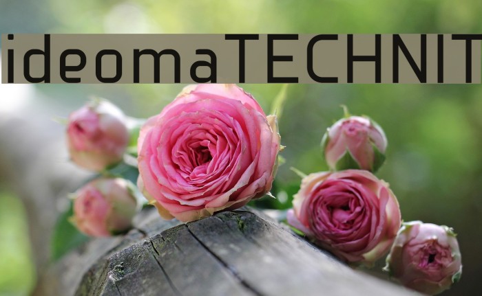ideomaTECHNIT Font examples