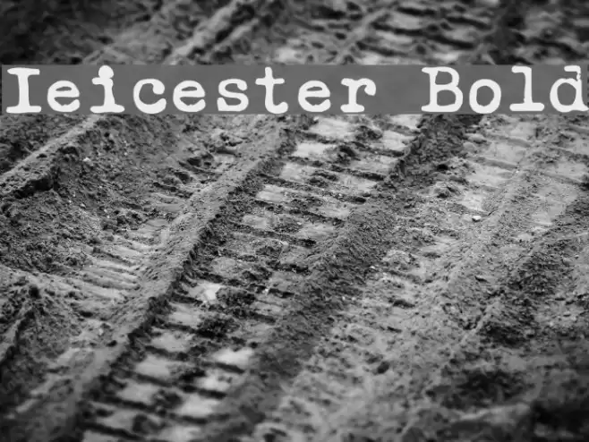 Ieicester Bold Font examples