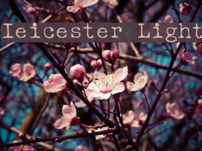 Ieicester Light Example 1