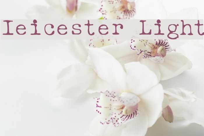 Ieicester Light Font examples