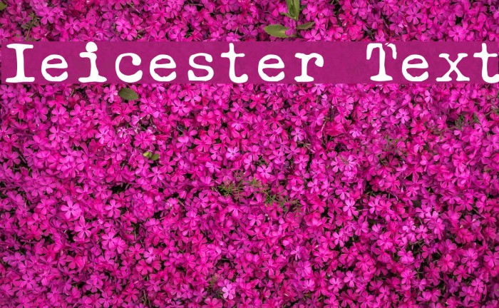 Ieicester Text Font examples