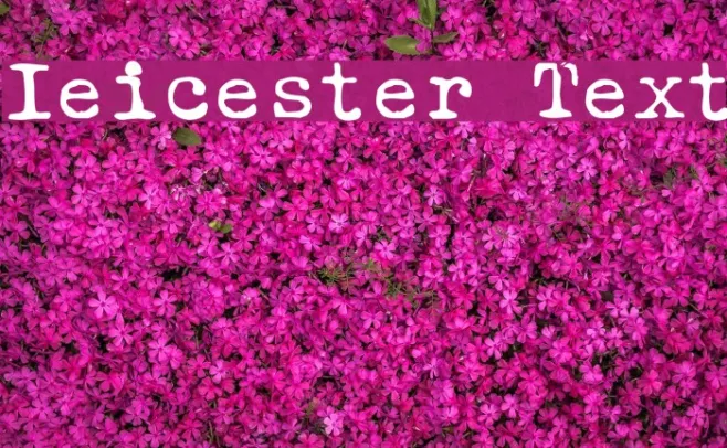 Ieicester Text Example 3