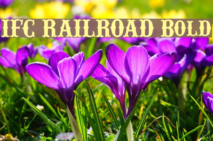 IFC RAILROAD Bold Font examples