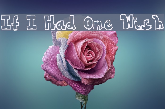If I Had One Wish Font examples