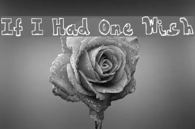 If I Had One Wish Fonte examples