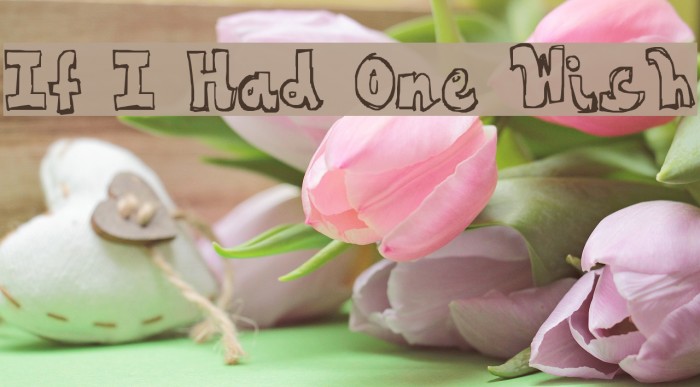 If I Had One Wish Font examples