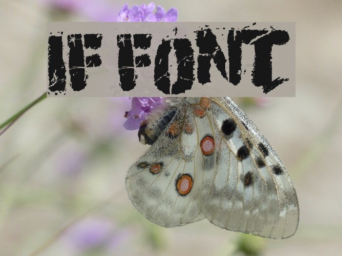 If フォント examples