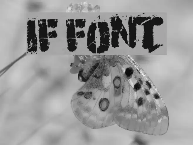 If Font examples