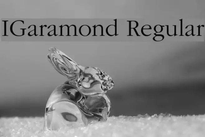 IGaramond Regular Font examples