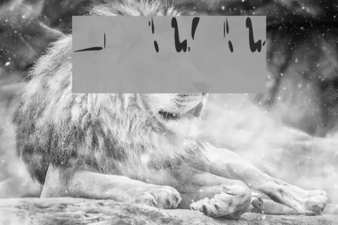 Igaram Font examples