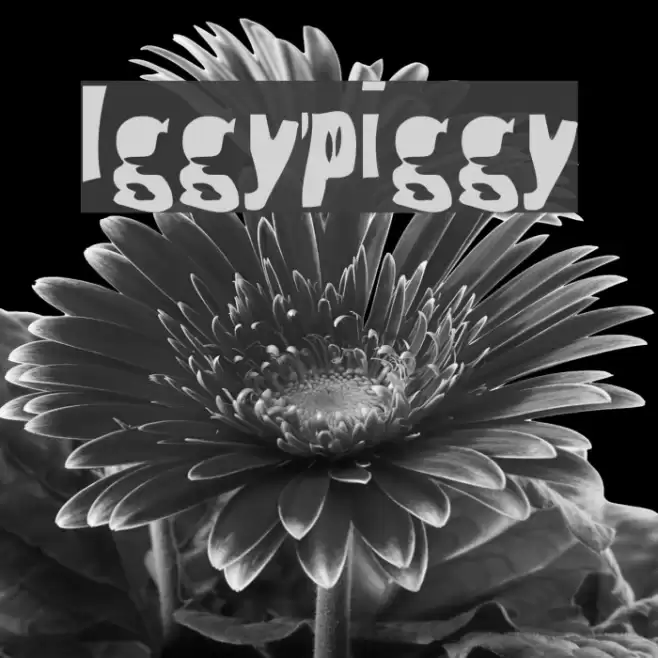 Iggypiggy Font examples