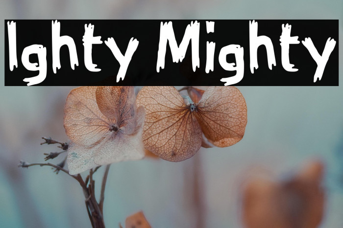 Ighty Mighty Example 3