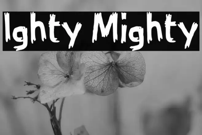 Ighty Mighty Font examples