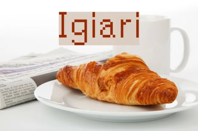 Igiari Example 1