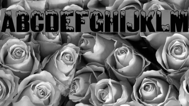 Igloo Regular フォント examples