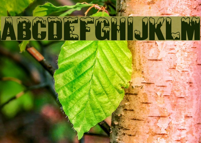 IglooLaser Font examples