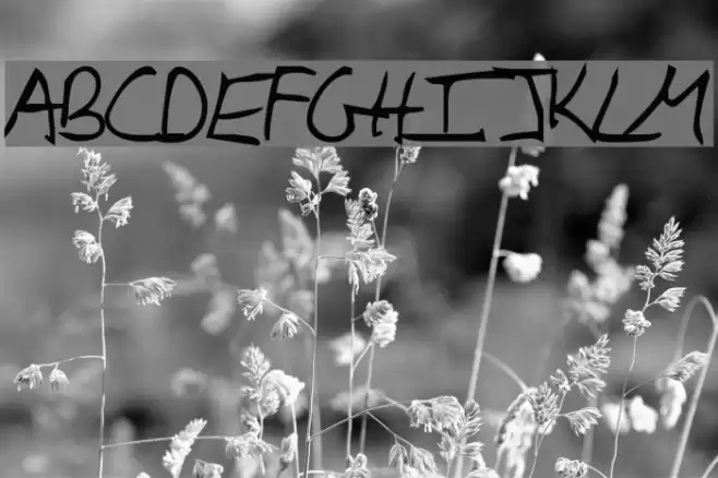 Iglook Font examples