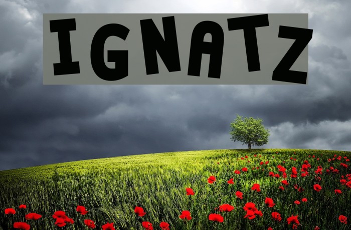Ignatz Font examples