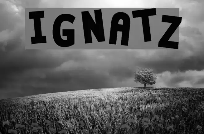 Ignatz Font examples