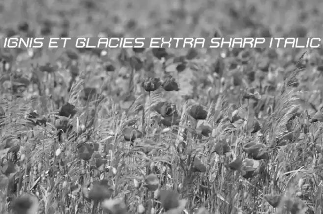 Ignis et Glacies Extra Sharp Italic フォント examples