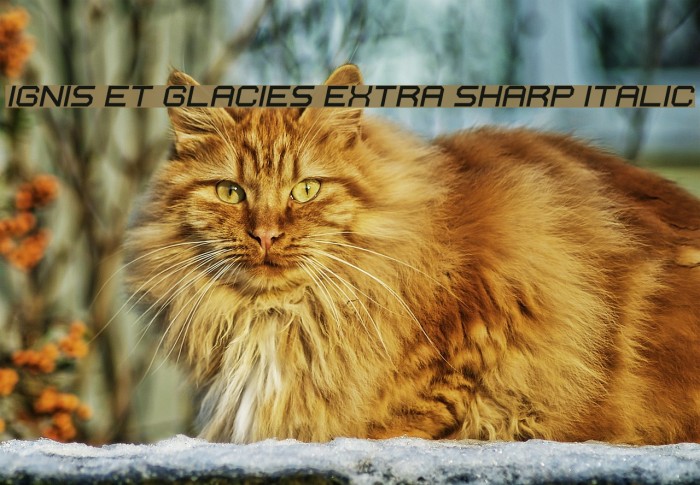 Ignis et Glacies Extra Sharp Italic Font examples