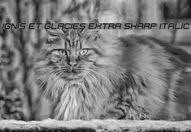 Ignis et Glacies Extra Sharp Italic フォント examples