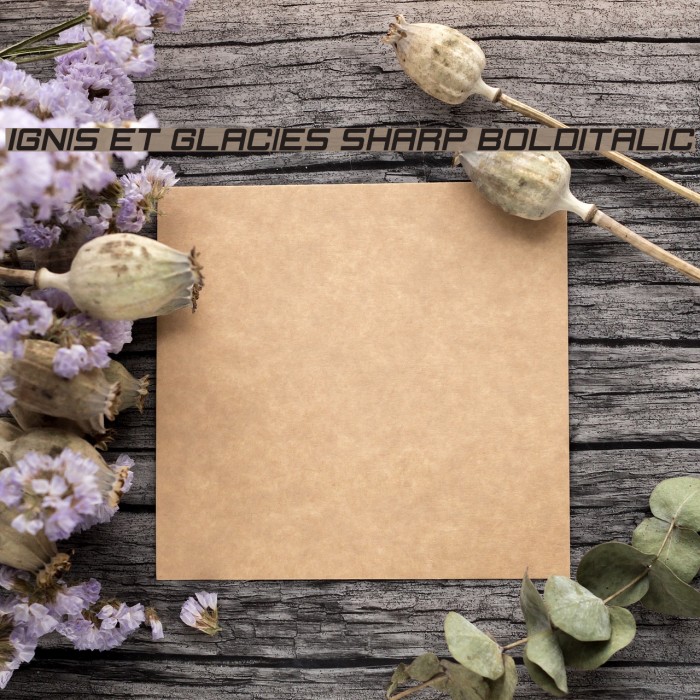 Ignis et Glacies Sharp BoldItalic Font examples
