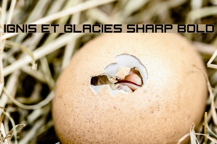 Ignis et Glacies Sharp Bold Font examples