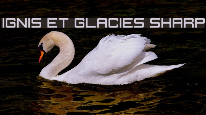 Ignis et Glacies Sharp フォント examples