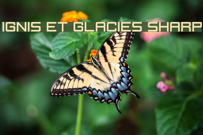 Ignis et Glacies Sharp フォント examples