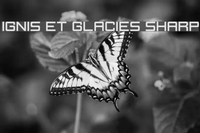 Ignis et Glacies Sharp Шрифта examples
