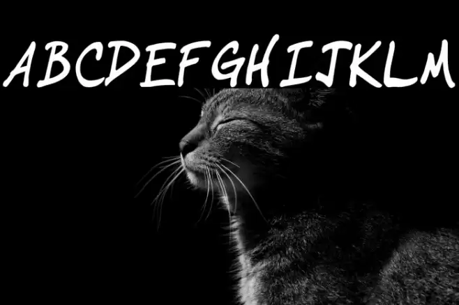 IgniteMe Bold Italic Font examples