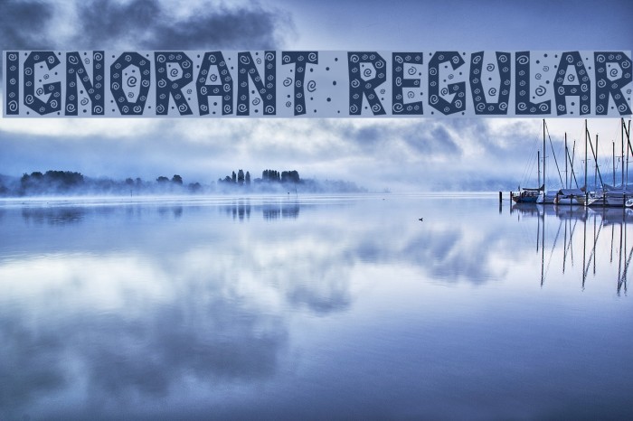 Ignorant Regular Example 2