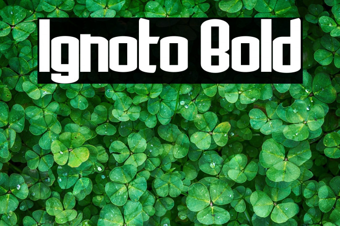 Ignoto Bold Example 1