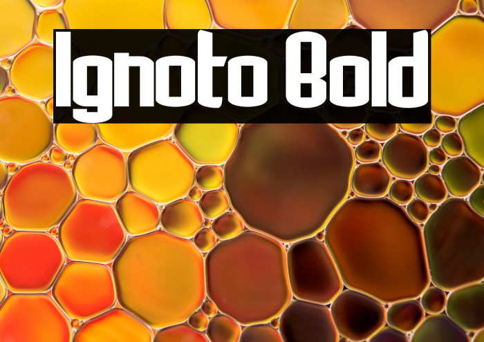 Ignoto Bold Example 2