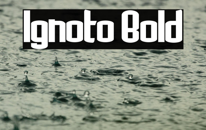 Ignoto Bold Example 3