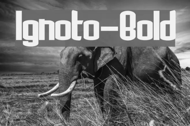 Ignoto-Bold Font examples